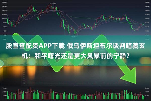股查查配资APP下载 俄乌伊斯坦布尔谈判暗藏玄机：和平曙光还是更大风暴前的宁静？