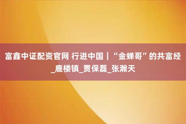 富鑫中证配资官网 行进中国｜“金蝉哥”的共富经_鹿楼镇_贾保磊_张瀚天
