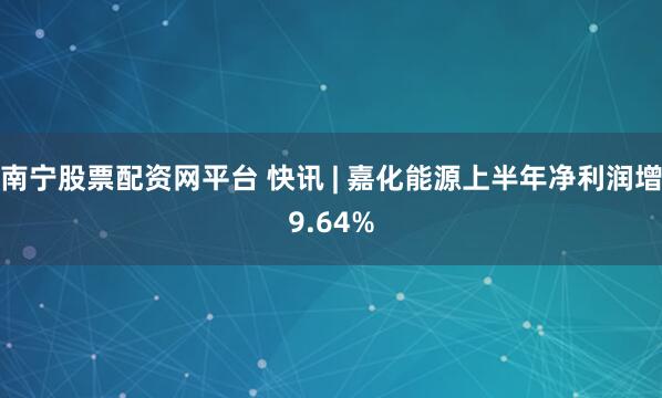 南宁股票配资网平台 快讯 | 嘉化能源上半年净利润增9.64%