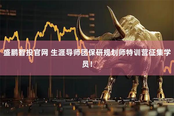 盛鹏智投官网 生涯导师团保研规划师特训营征集学员!